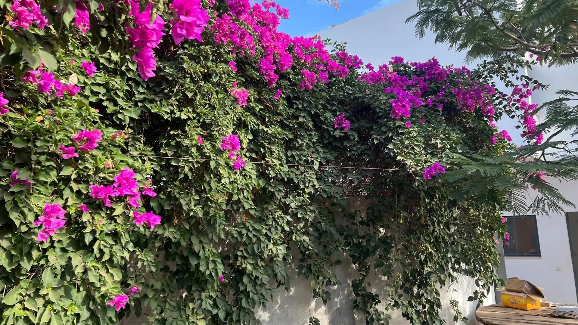 Villa Cardoso Praia